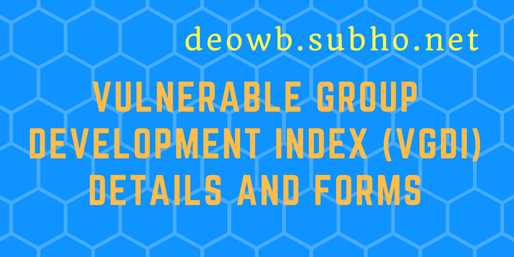 Vulnerable Group Development Index (VGDI)